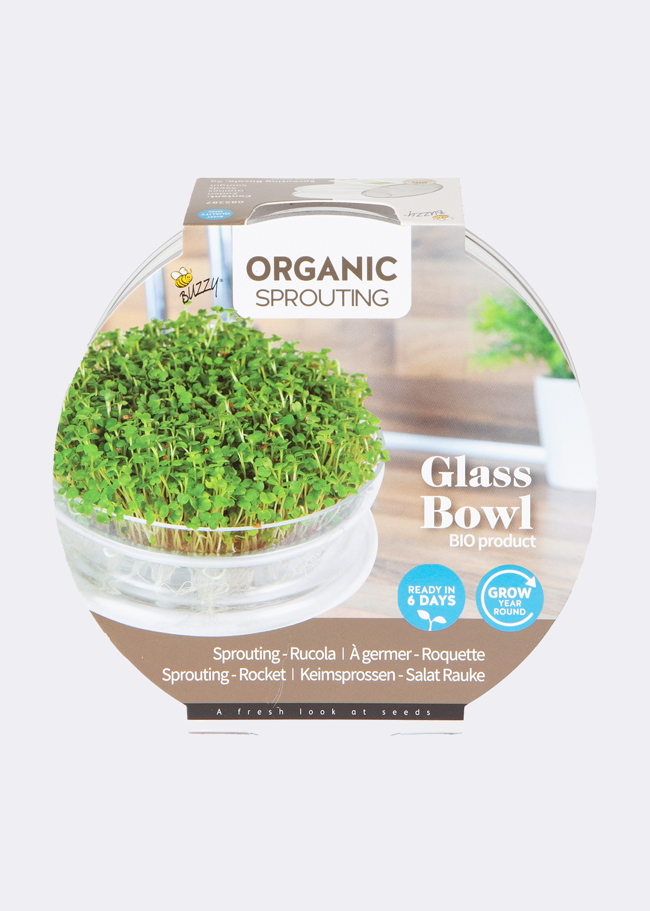 Buzzy Bio Cut & Eat Rocket Seeds With Glass Bowl