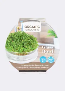Buzzy® Bio Cut & Eat Rocket Seeds With Glass Bowl