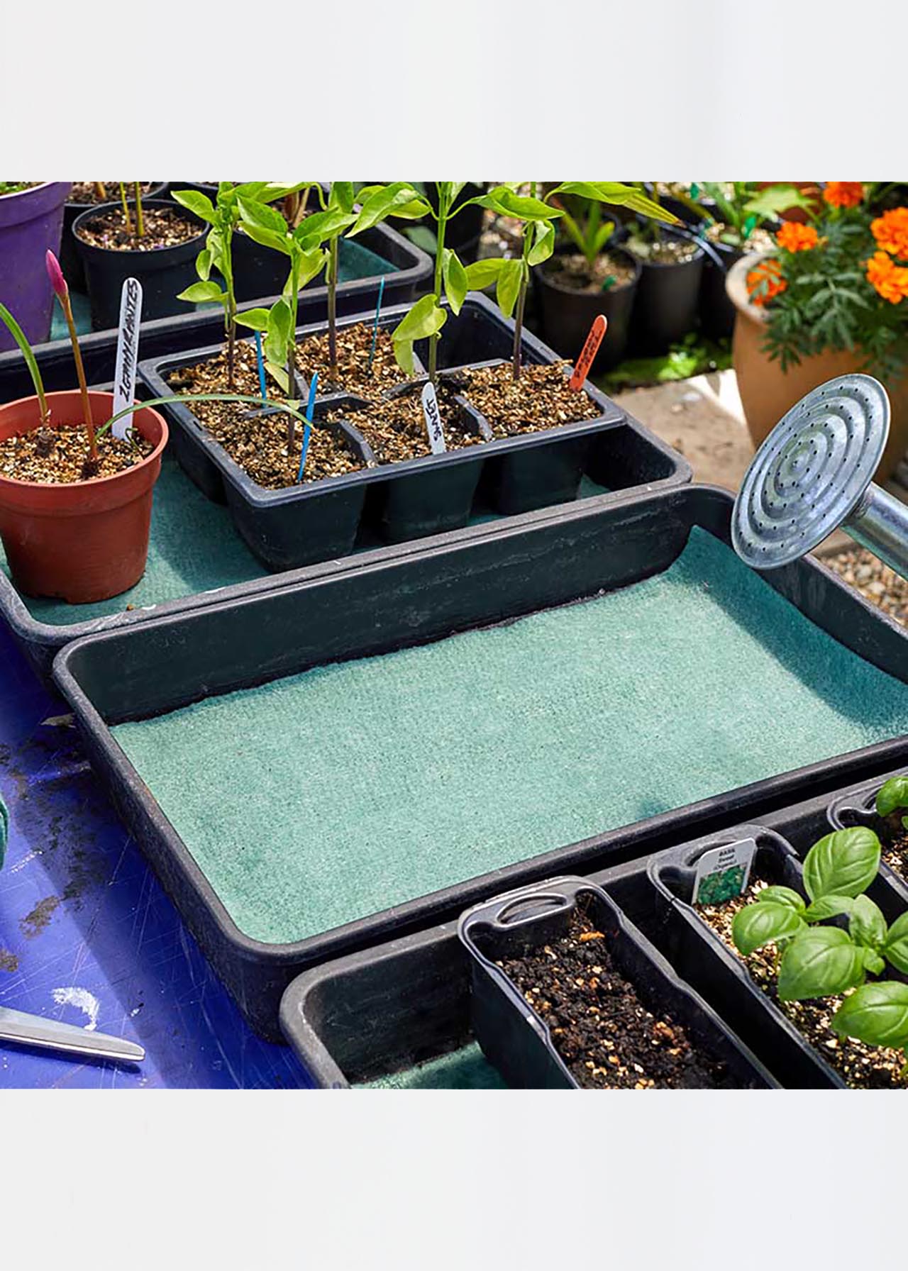 Moisture Matting