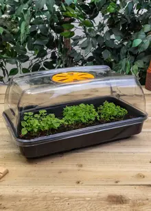 Heated Propagator 38cm