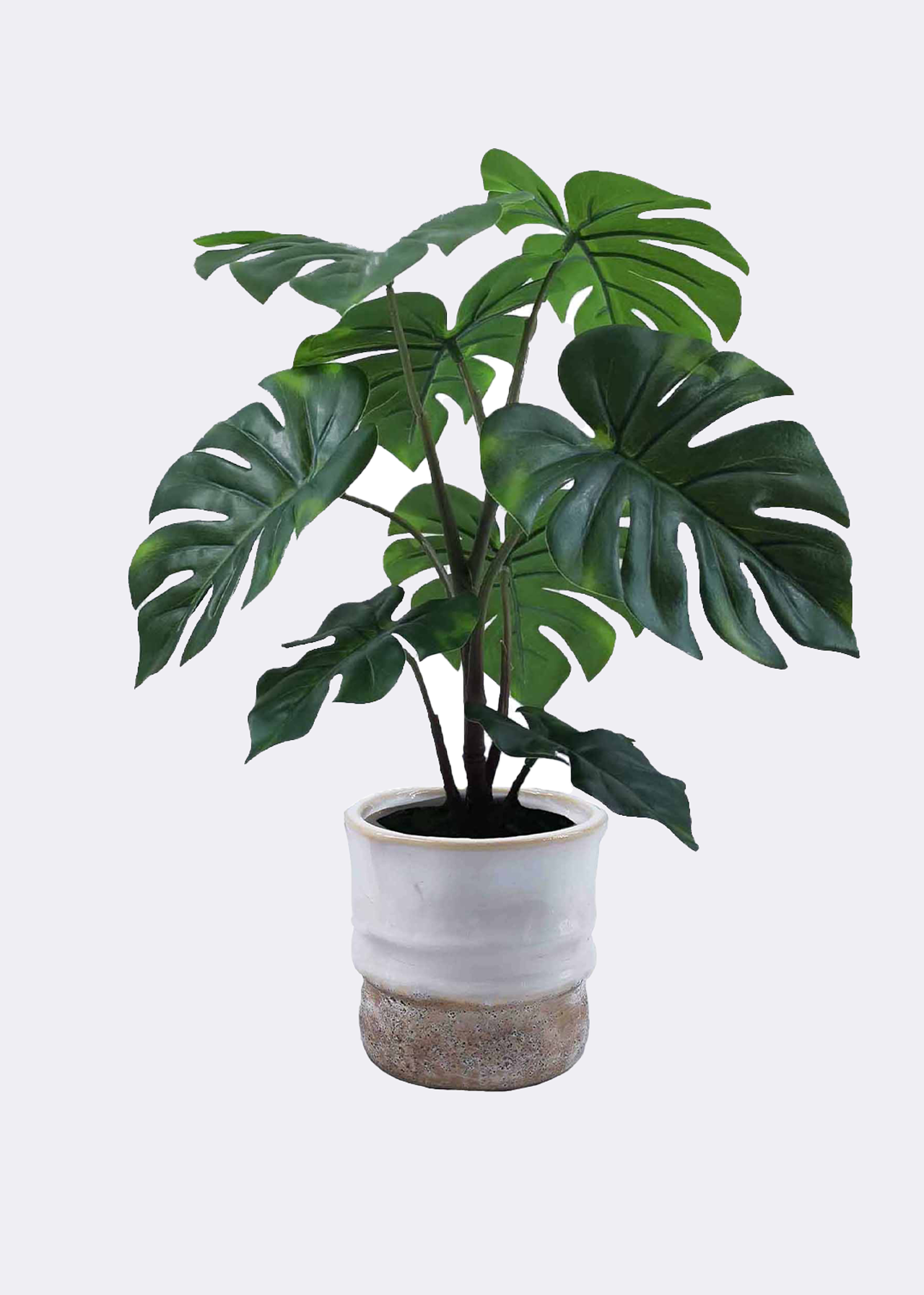 Faux Monstera Plant