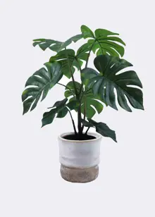 Faux Monstera Plant