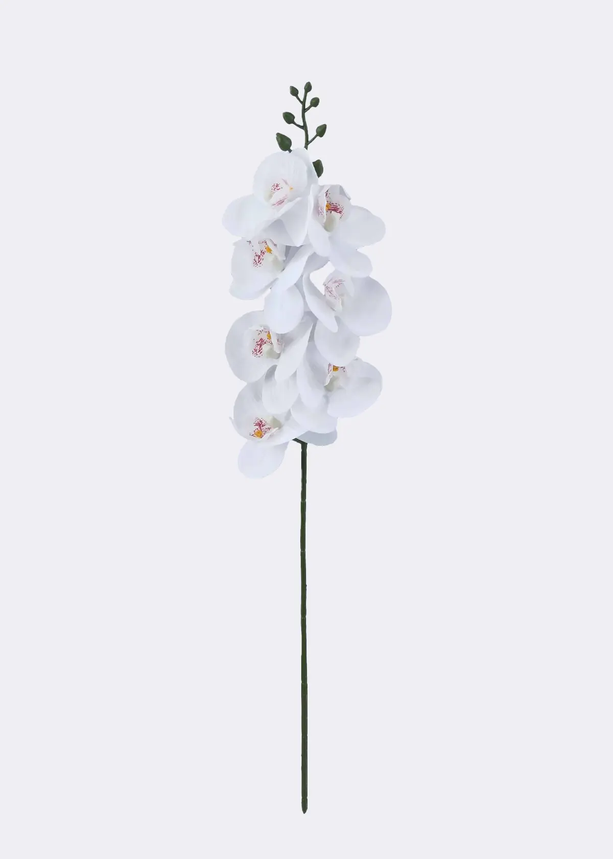 A photo of Faux Orchid Stem 70cm