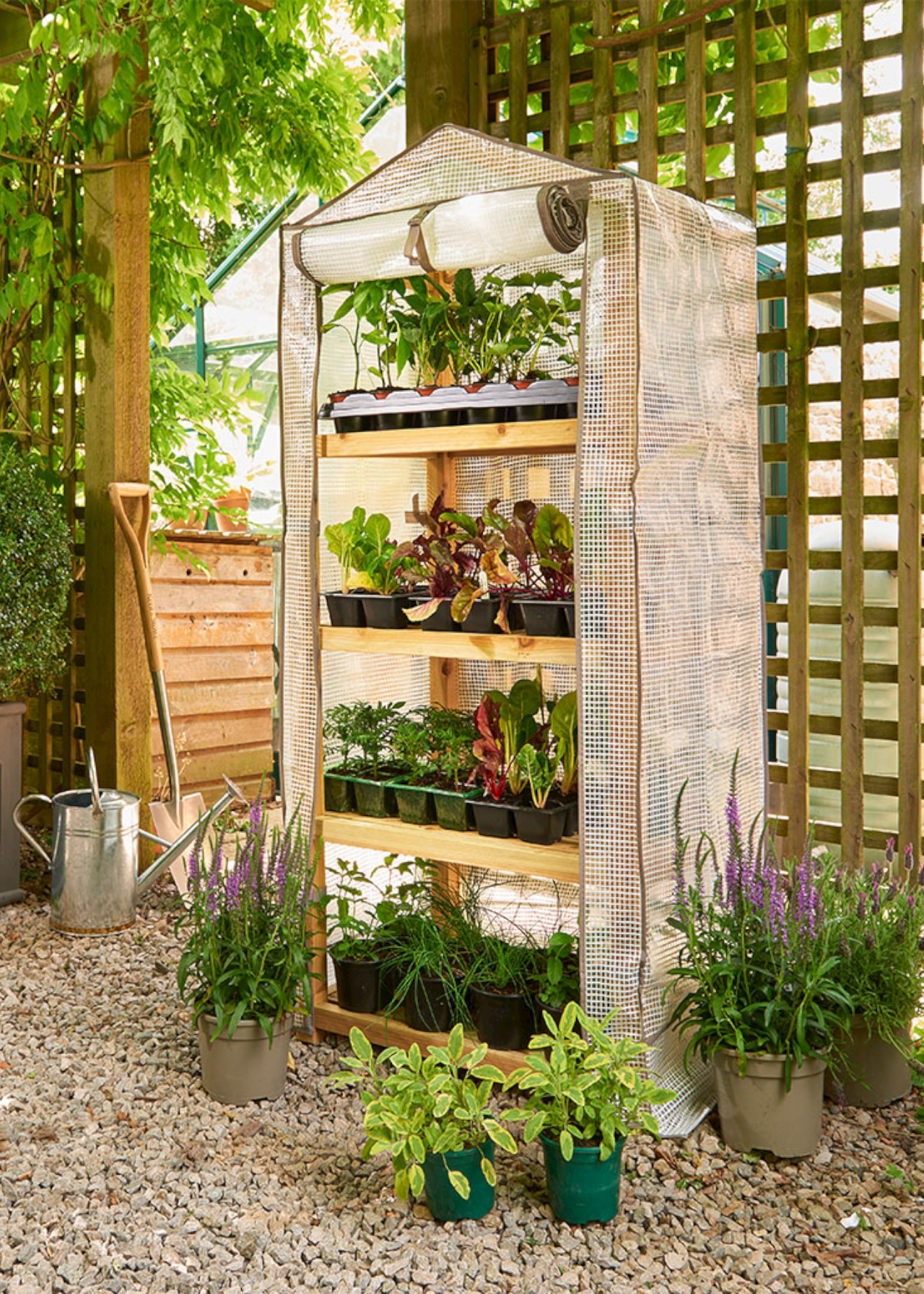 Grow it! Wooden 4 Tier Greenhouse