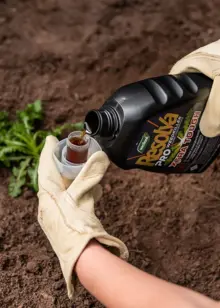 Resolva Pro Weedkiller Xtra Tough Concentrate 1L