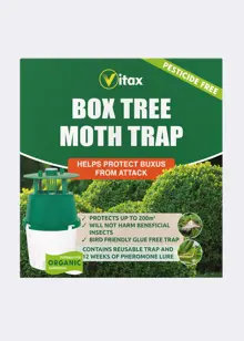 Box Tree Moth Trap