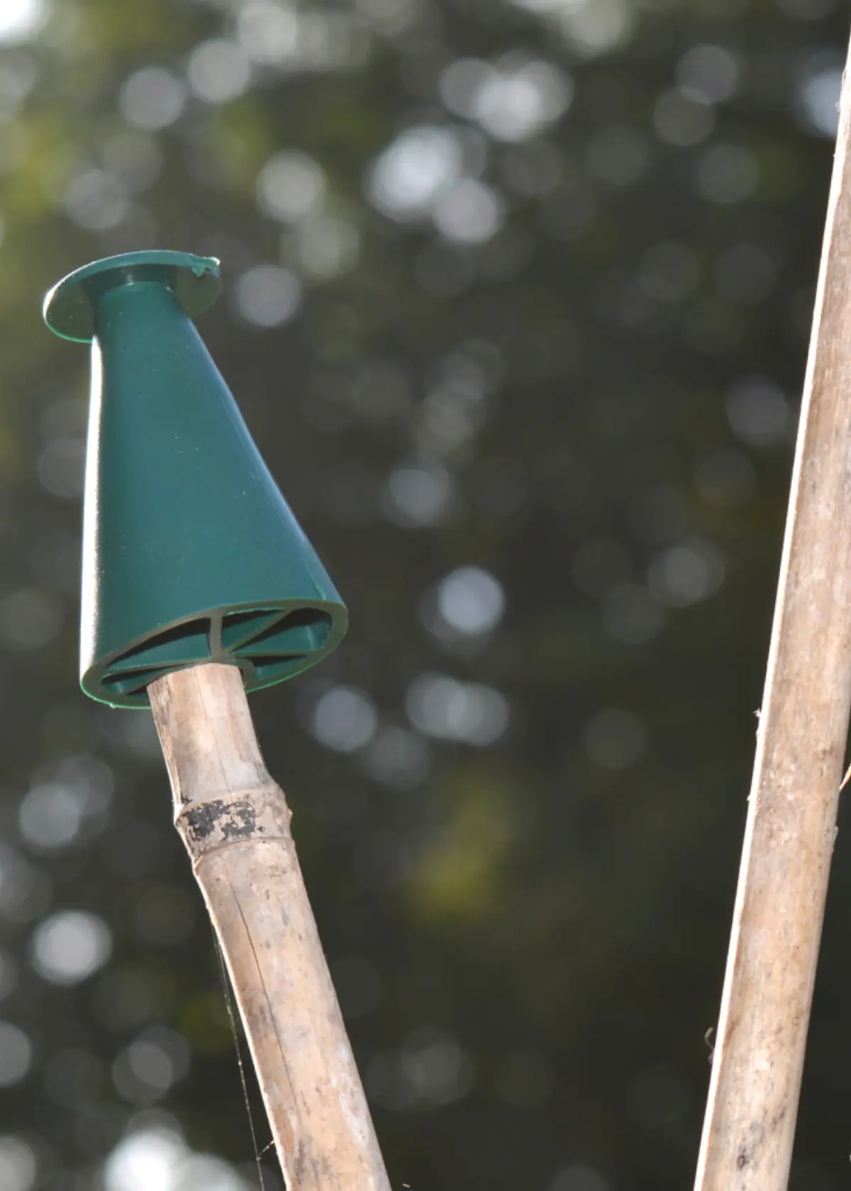 A photo of Pack of 10 Multi Purpose Cane Caps