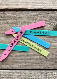 Pack of 50 Coloured Plastic Plant Labels 10cm
