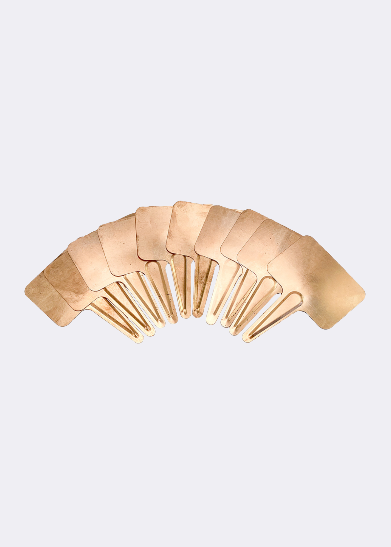 Pack of 10 Copper T Plant Labels