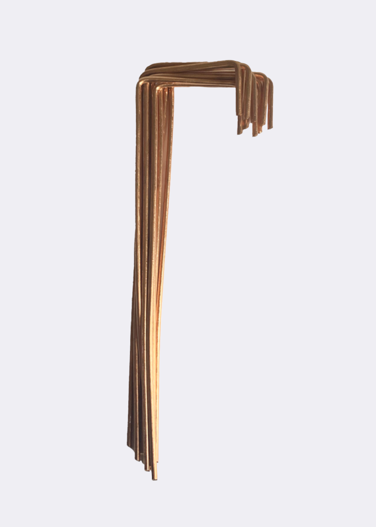 Pack of 10 Metal Garden Pegs