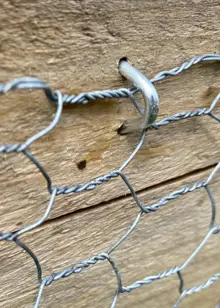 Pack of 50 Galvanised Staples 15mm