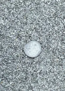 Pack of Felt Nails 20mm