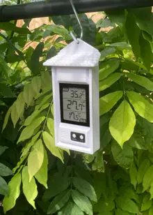 Digital Max/Min Thermometer