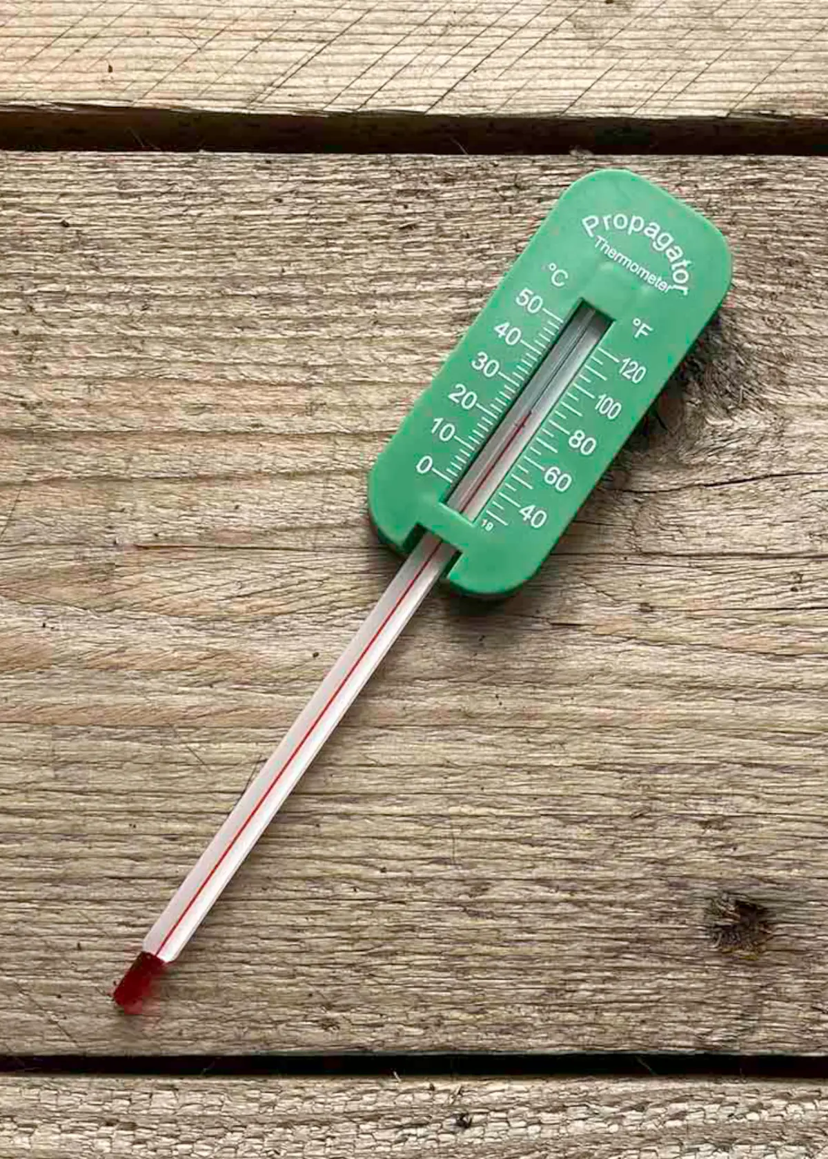 A photo of Propagator Thermometer