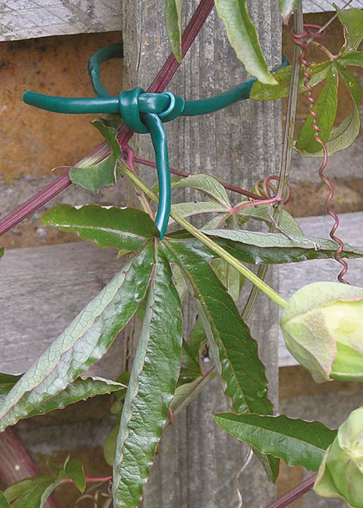 A photo of Garden Flexi Tube 2.5mm 59m