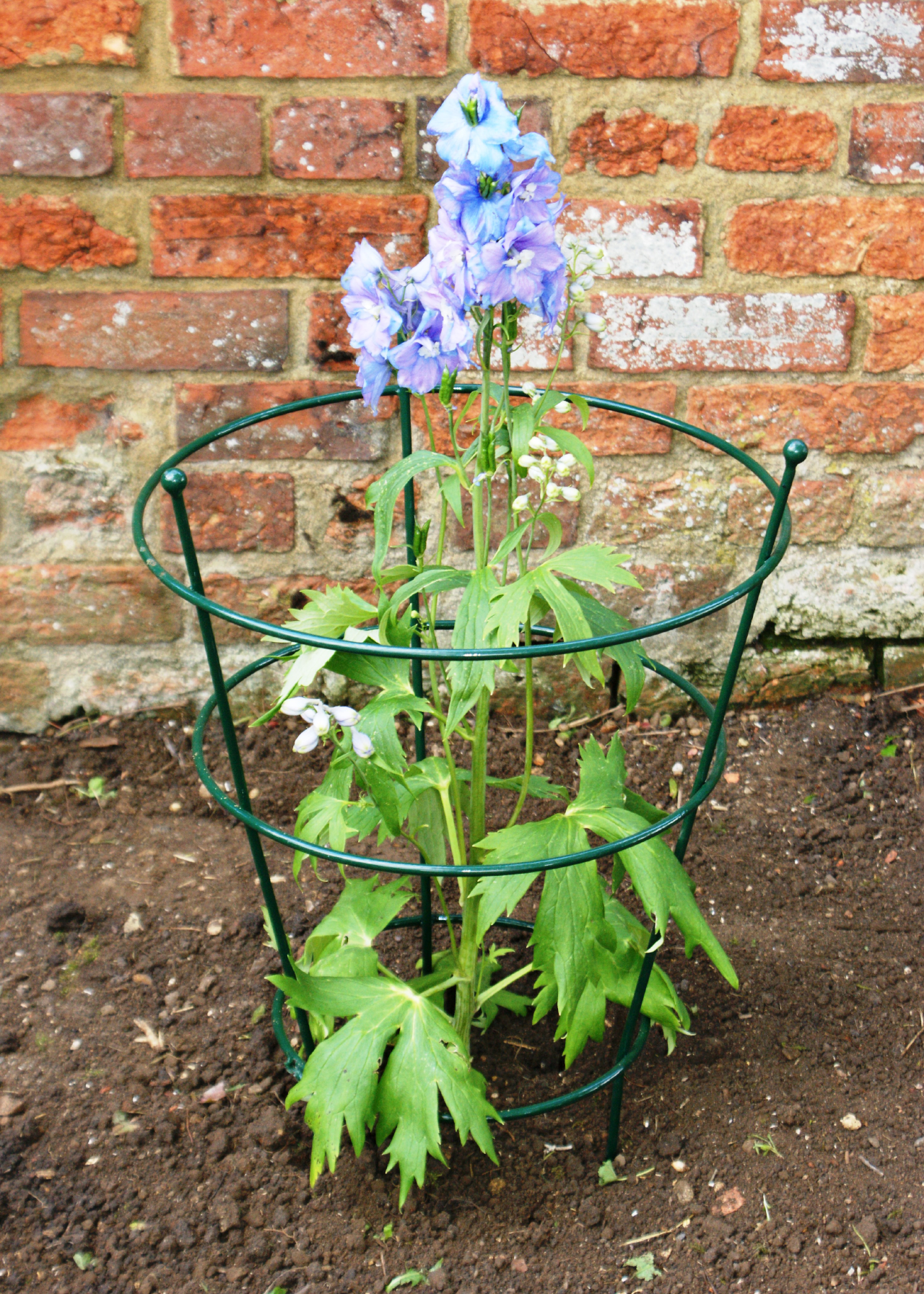 Small Plant Support Green