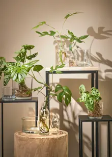 Skipp Bud Vase