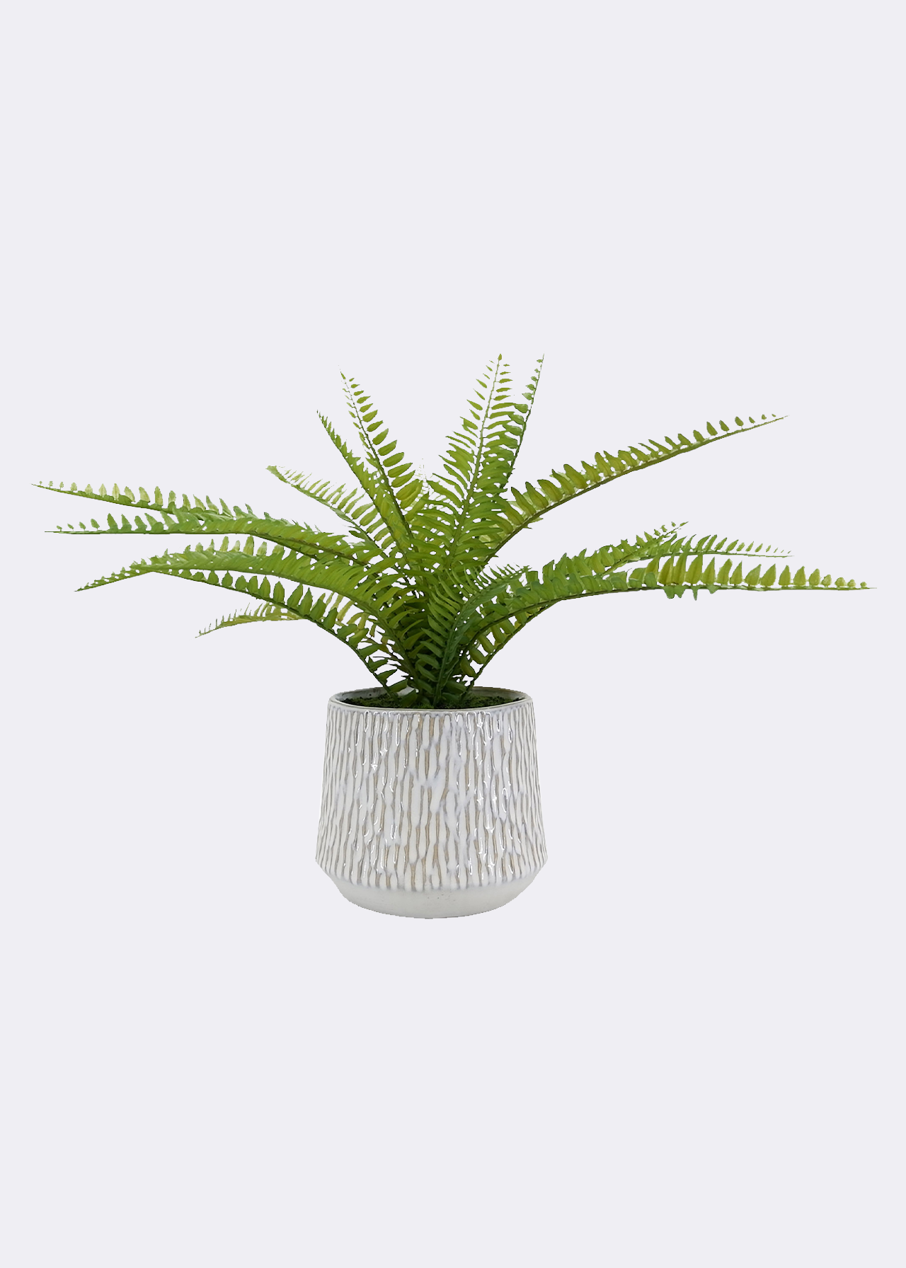 Faux Fern in Grey Pot