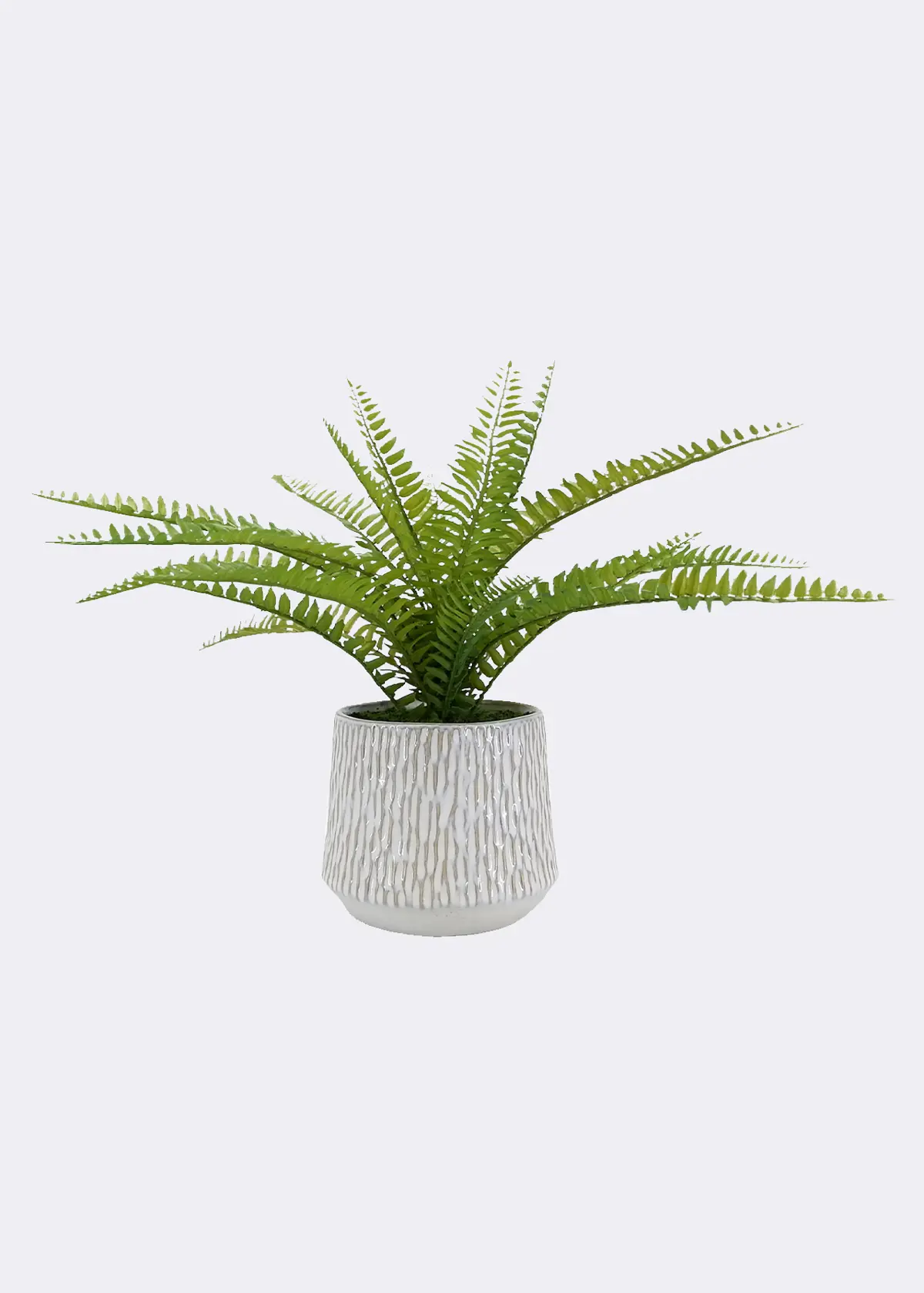 Faux Fern in Grey Pot