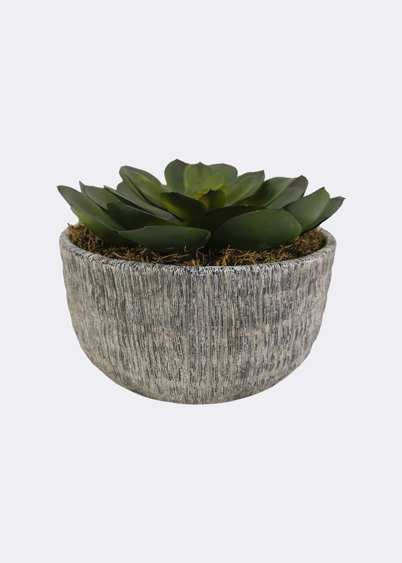 Faux Large Succulent in Grey Pot