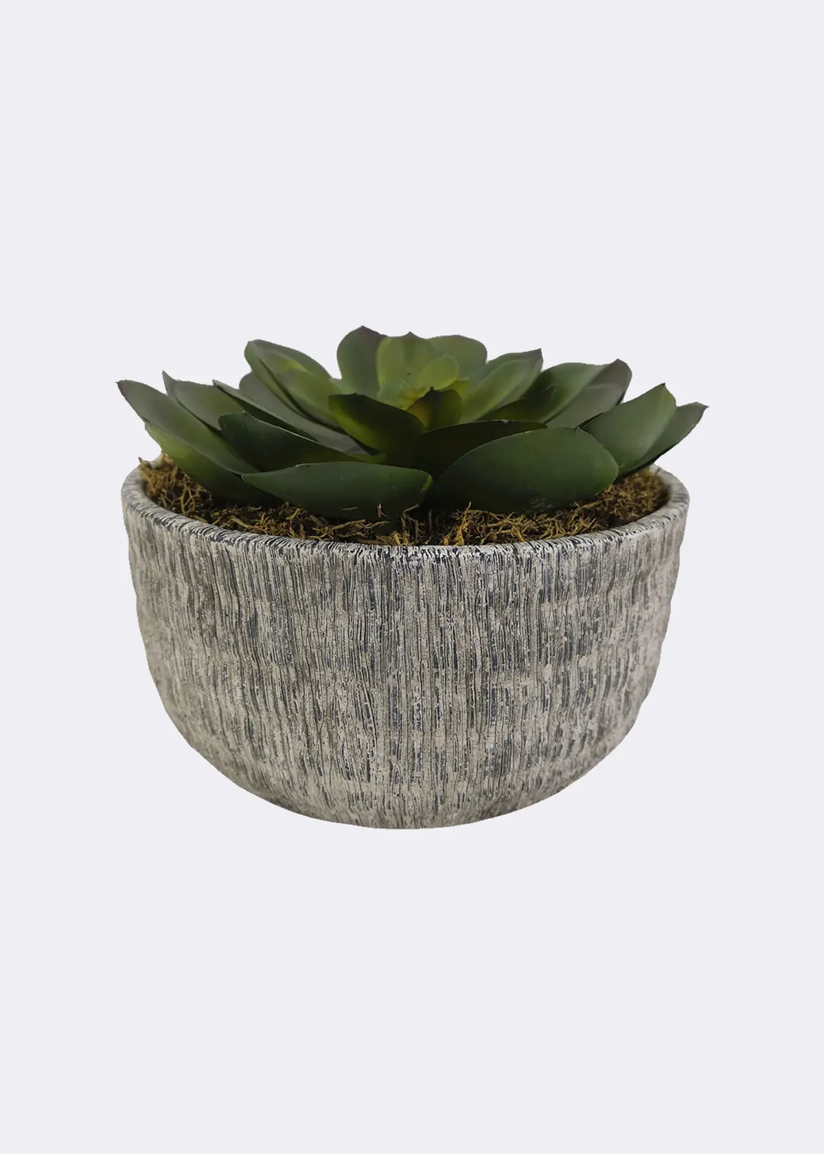 A photo of Faux Large Succulent in Grey Pot