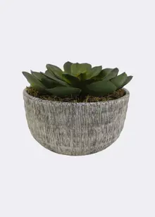Faux Large Succulent in Grey Pot