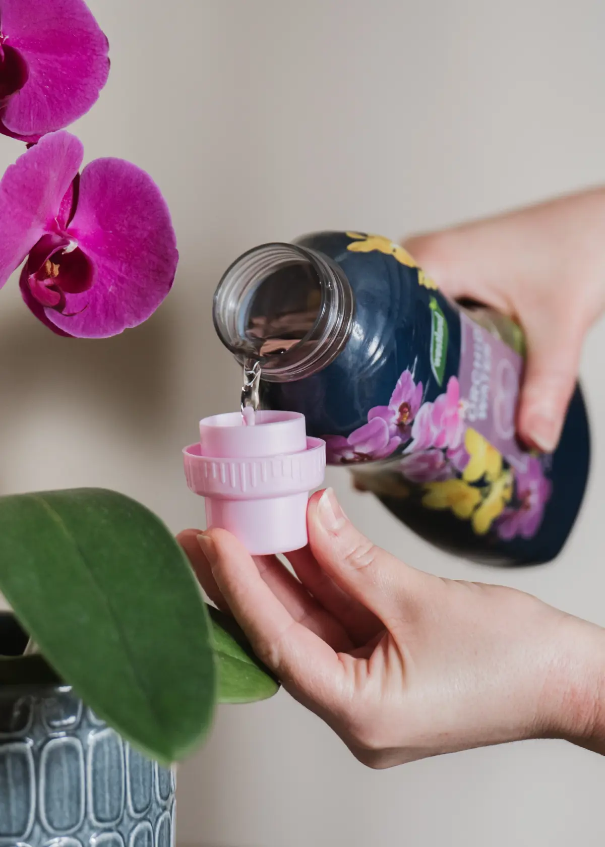 A photo of Westland Ready To Use Orchid Water 720ml