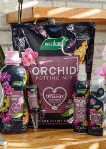 Westland Ready To Use Orchid Water 720ml