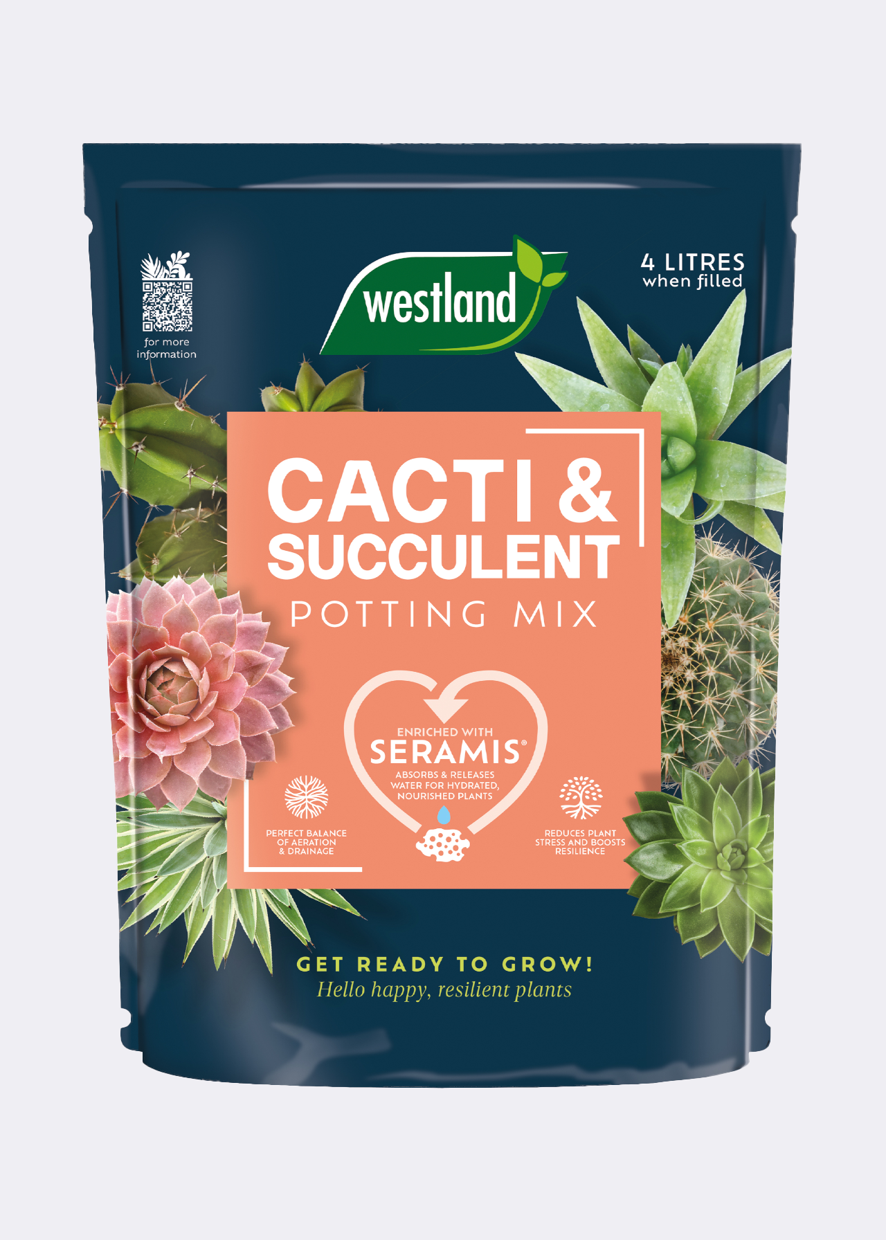Cacti Potting Mix 4L