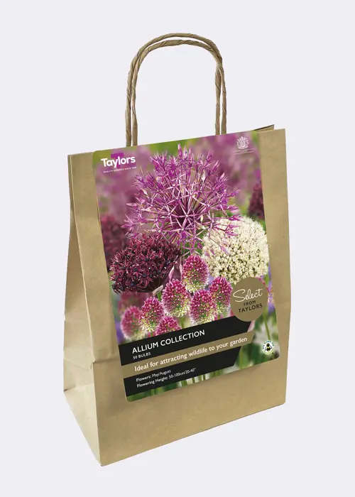 A photo of Allium Collection Pack of 50