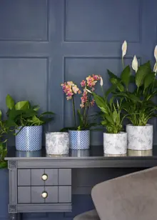 Lazzaro Vintage Foliage Planter 15cm