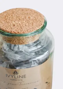 Bottle Shape Medium Terrarium Diy Kit 14cm
