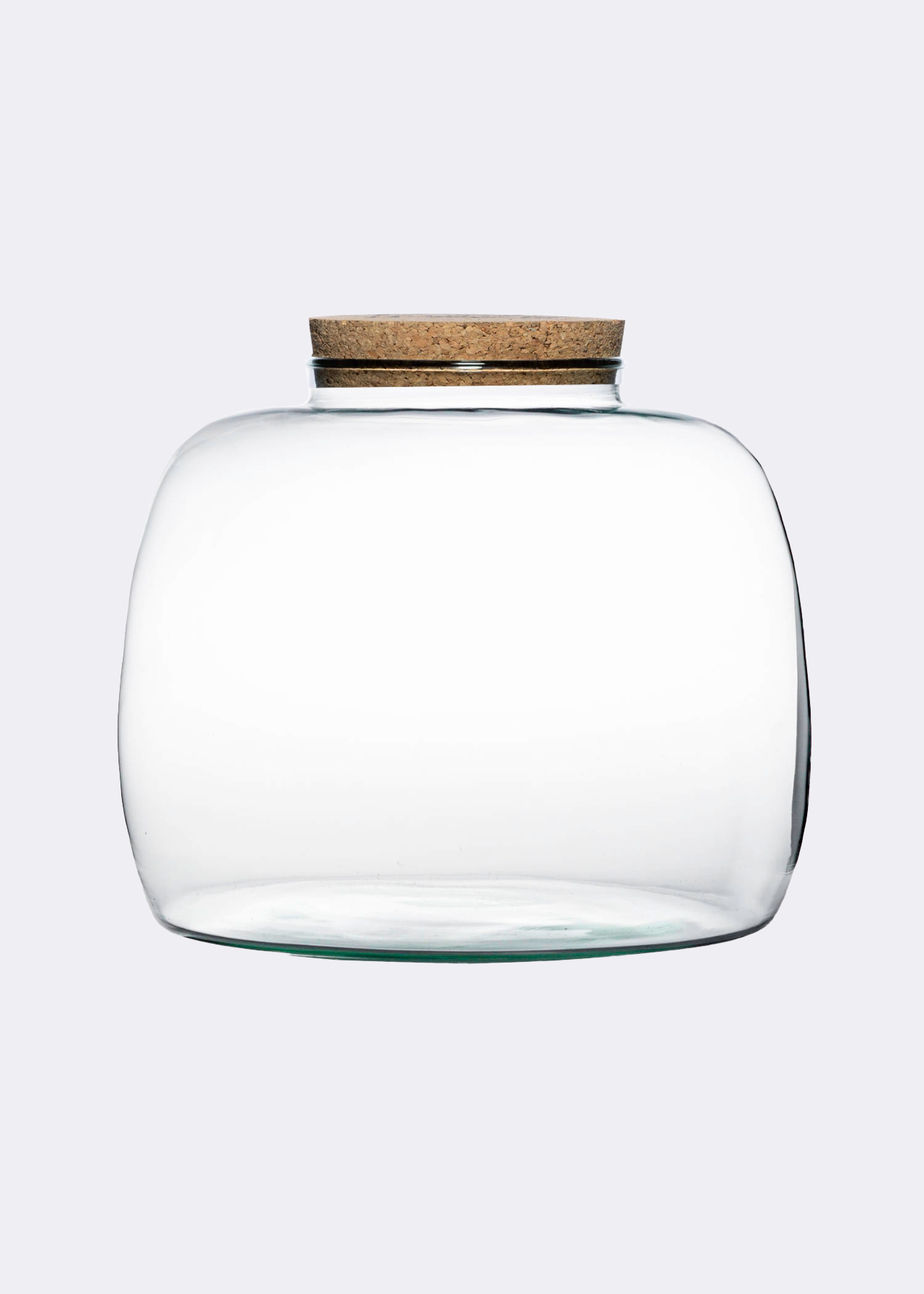 Bowl shape large terrarium DIY kit 30cm