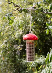 Toadstool Design Peanut Feeder