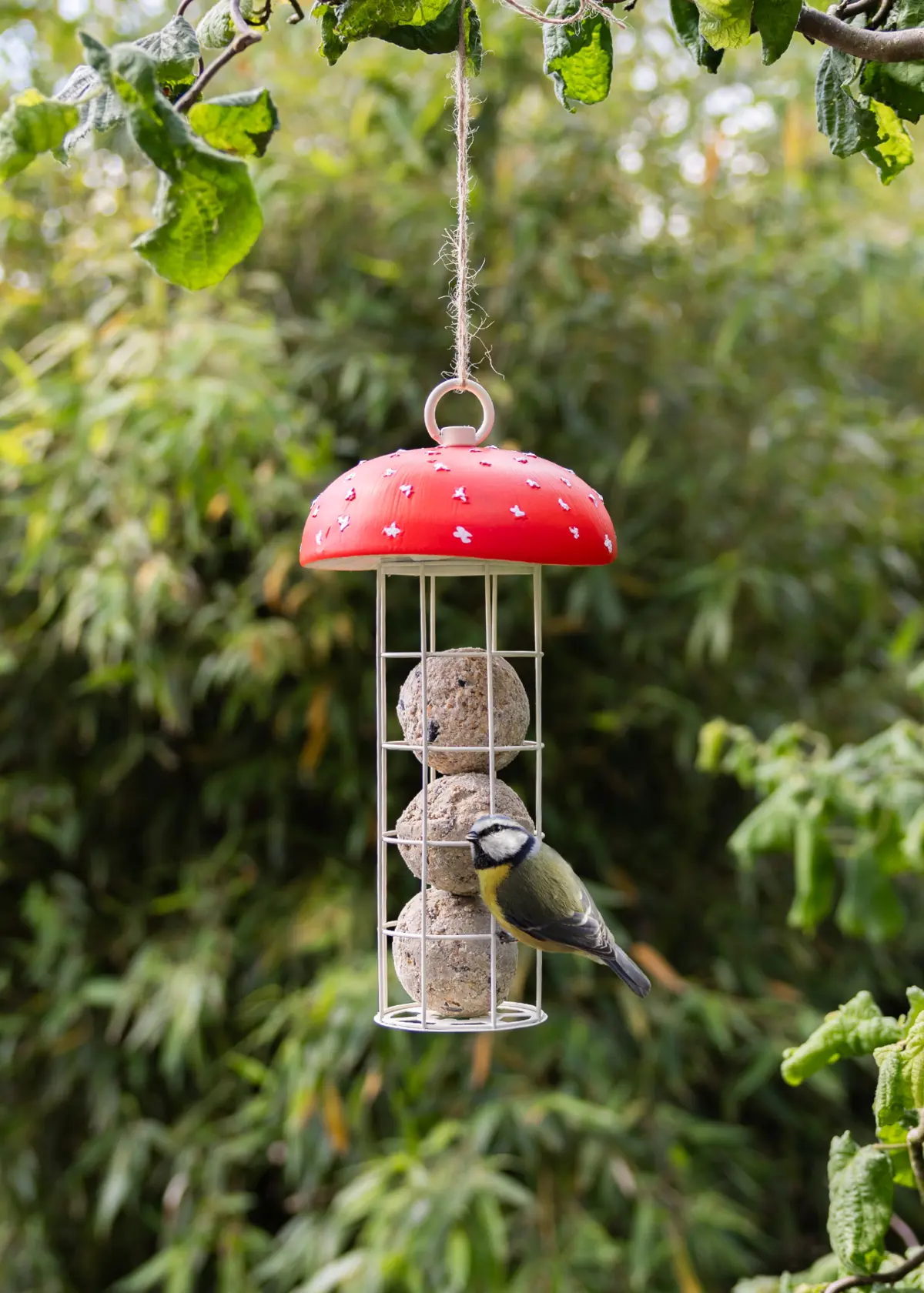 Toadstool Design Suet Ball Feeder