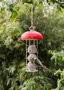 Toadstool Design Suet Ball Feeder