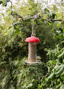 Toadstool Design Bird Seed Feeder
