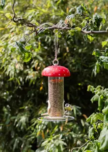 Toadstool Design Bird Seed Feeder