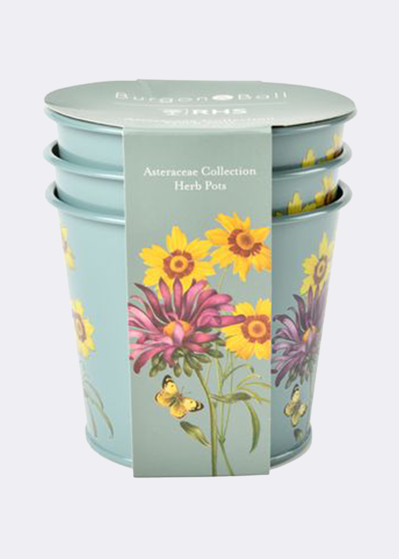 RHS Asteraceae Herb Pots Gift Set