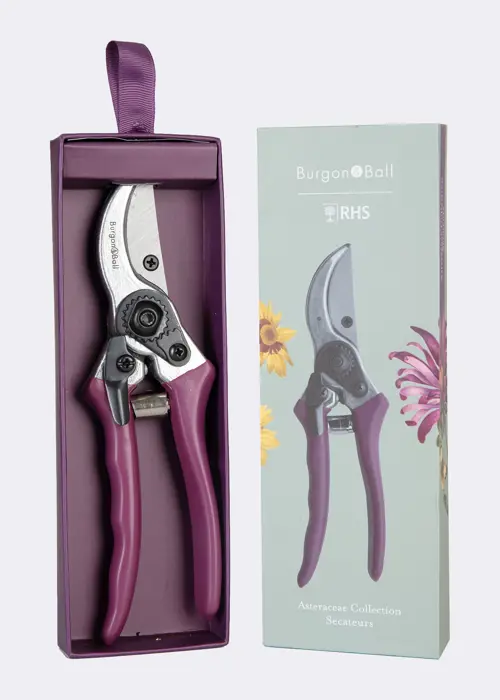RHS Asteraceae Secateurs Gift