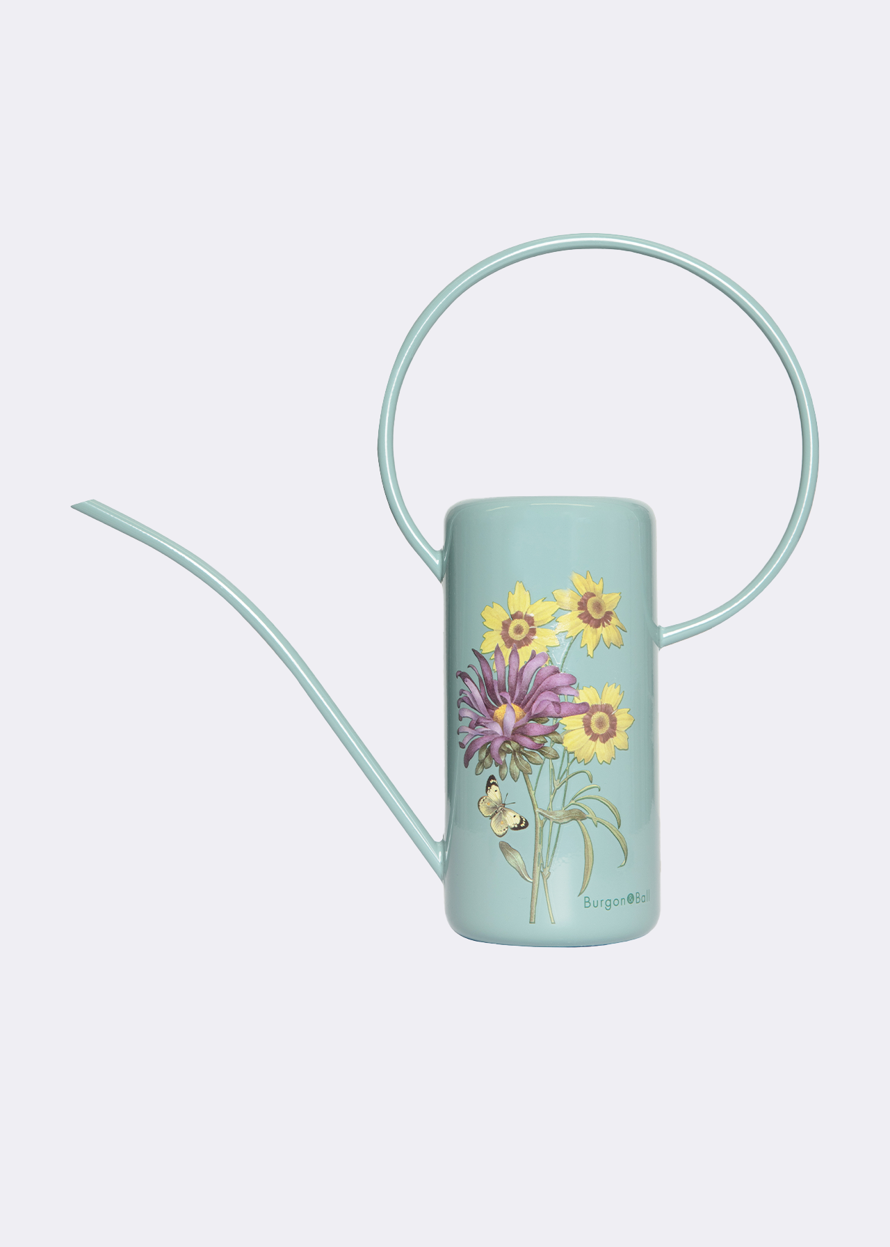 RHS Asteraceae Indoor Watering Can