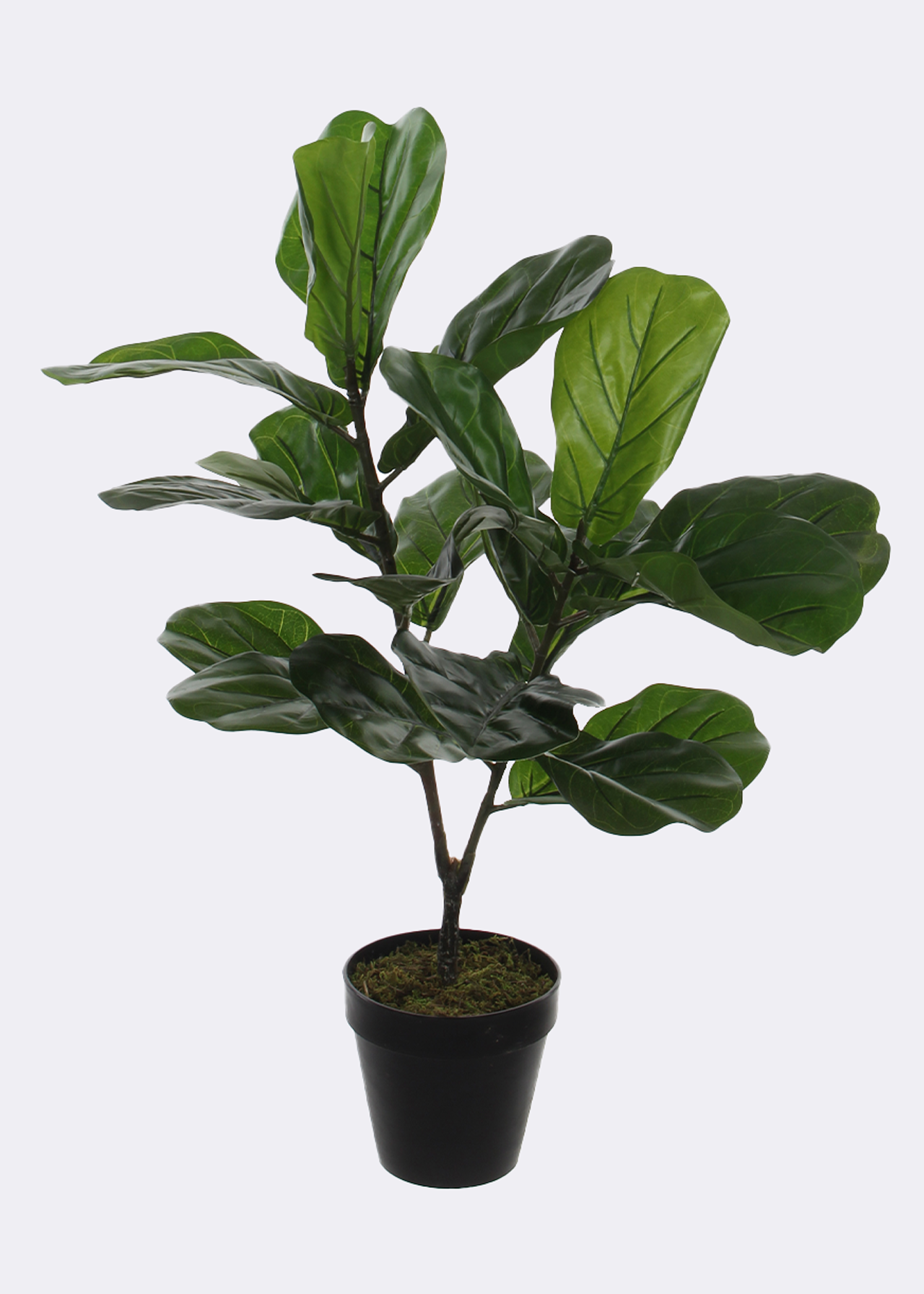 Faux Ficus Lyrata in Pot