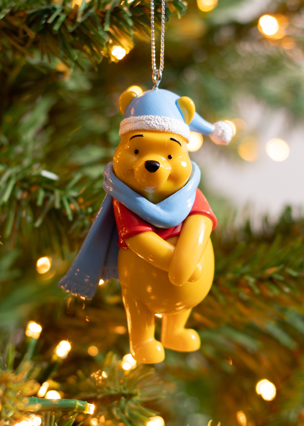 Disney 3D Winnie the Pooh Hanging Ornament | Dobbies Garden Centres