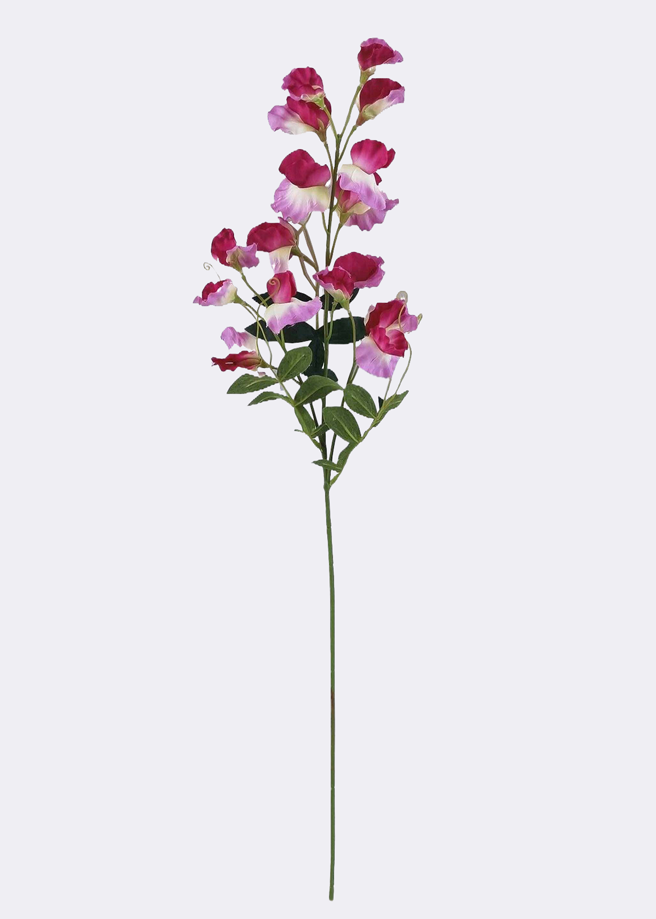 Faux Sweet Pea Stem Pink