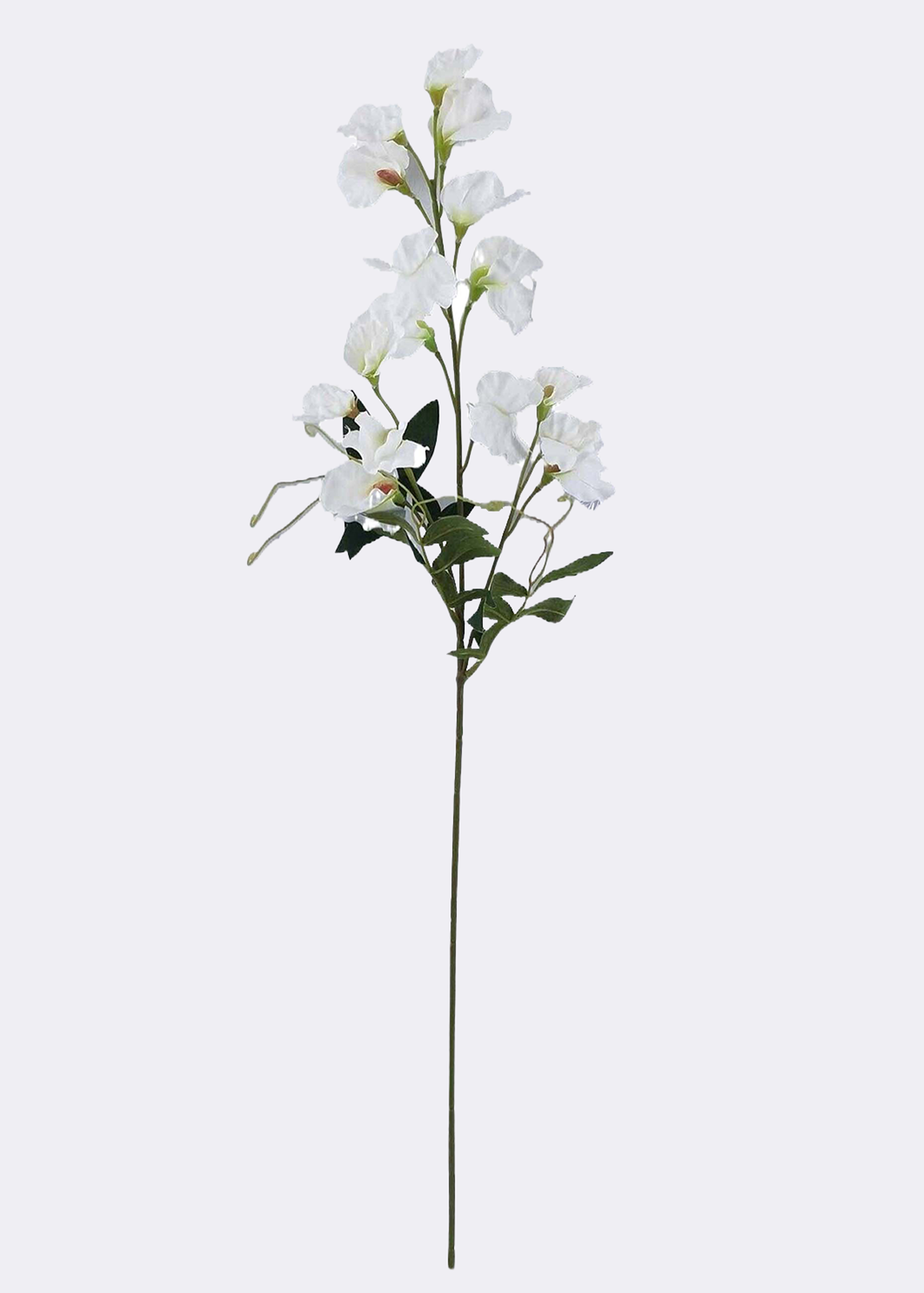 Faux Sweet Pea Stem White