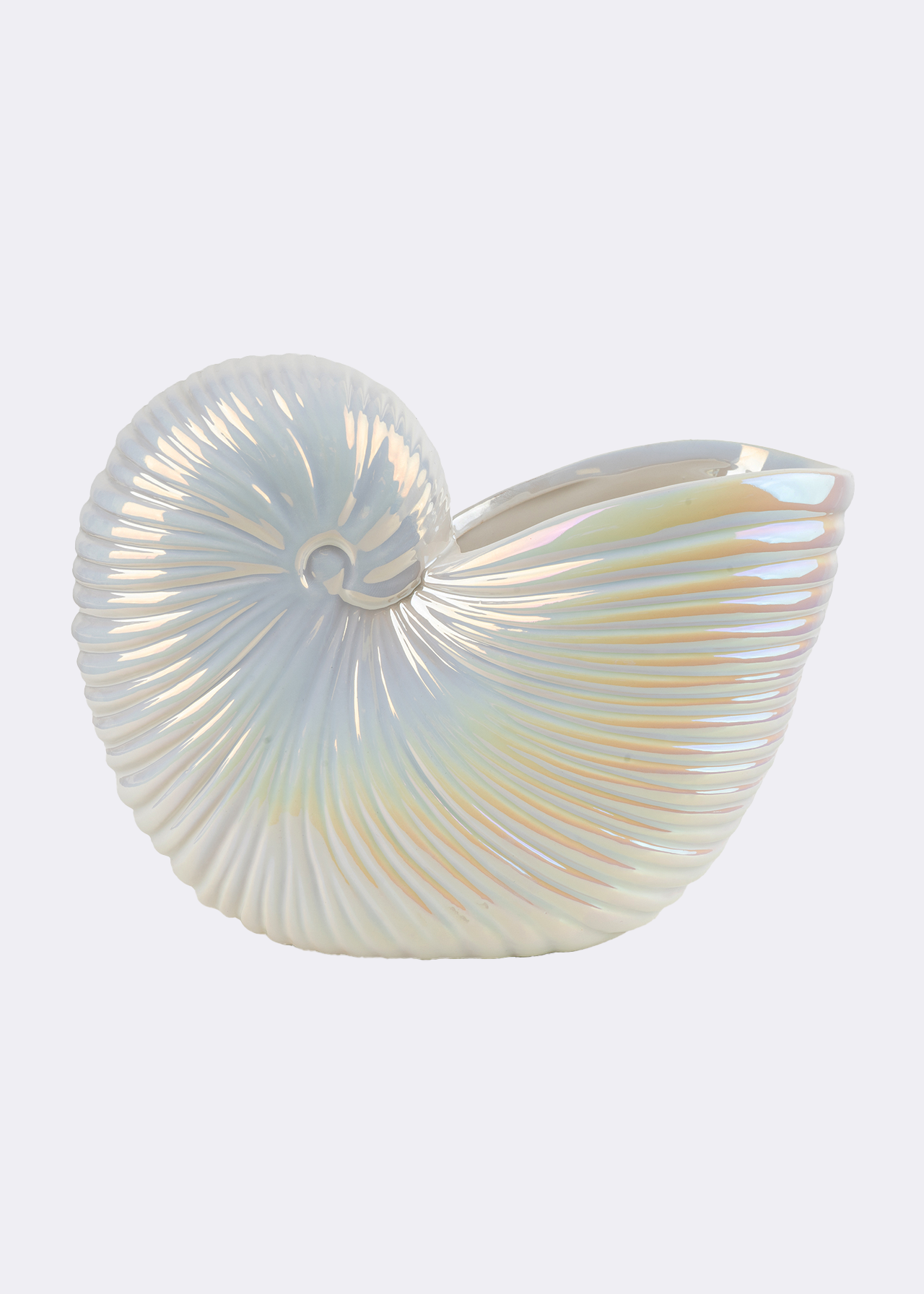 Shell shaped vase