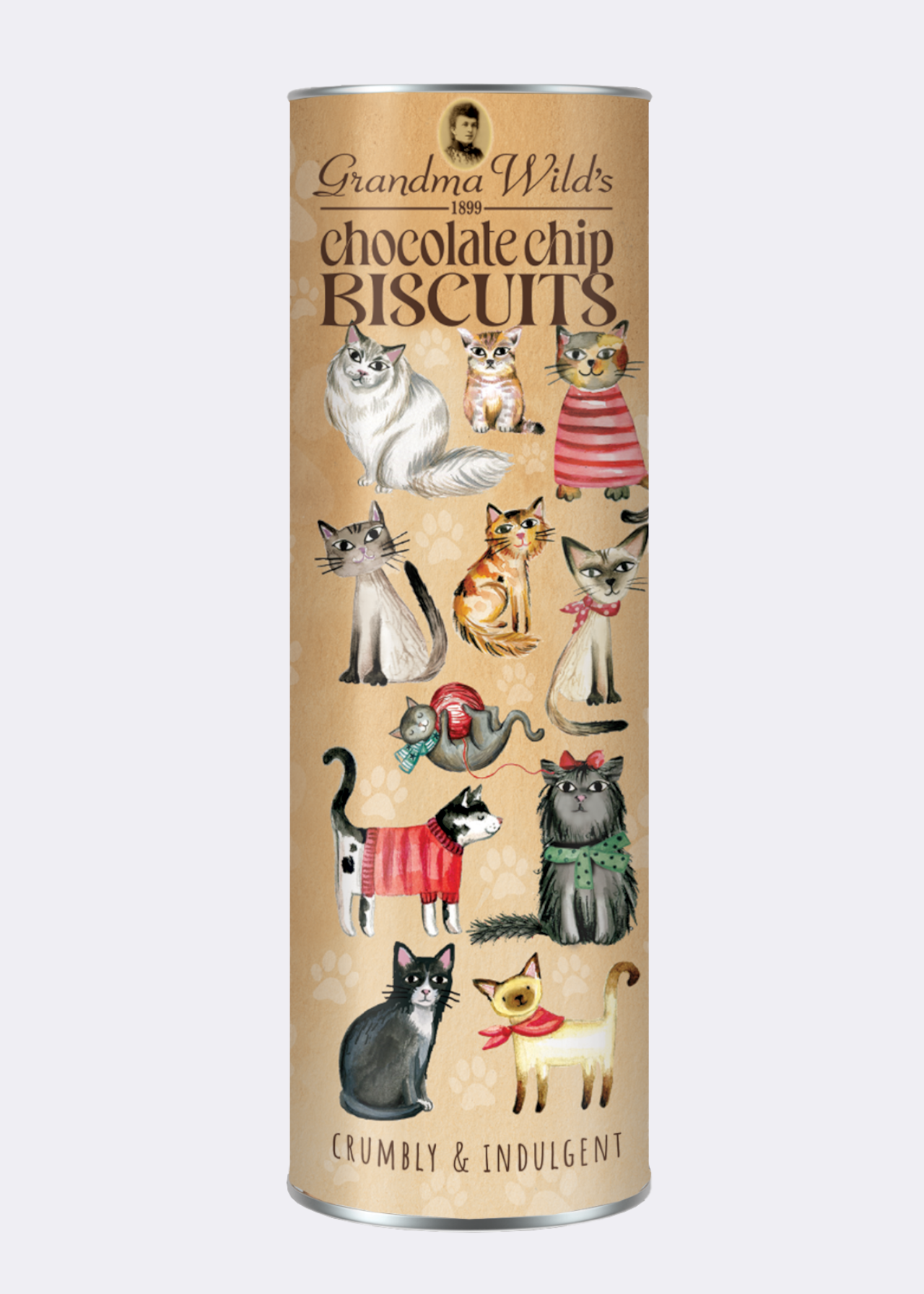 Cats In Jumpers Giant Tube of Chocolate Chip Biscuits