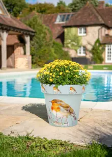 Robin Zest Pot 30cm