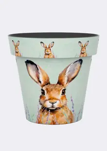 Hare Zest Pot 30cm
