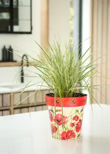 Poppies & Bees Zest Pot 30cm